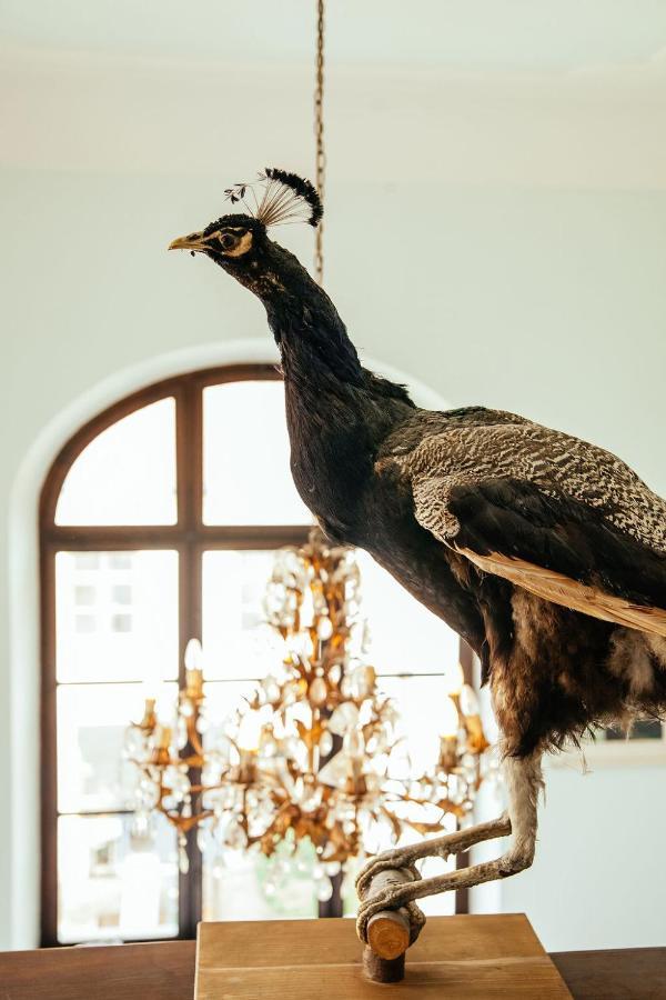 Schlossgut Tunzenberg Mengkofen Kültér fotó